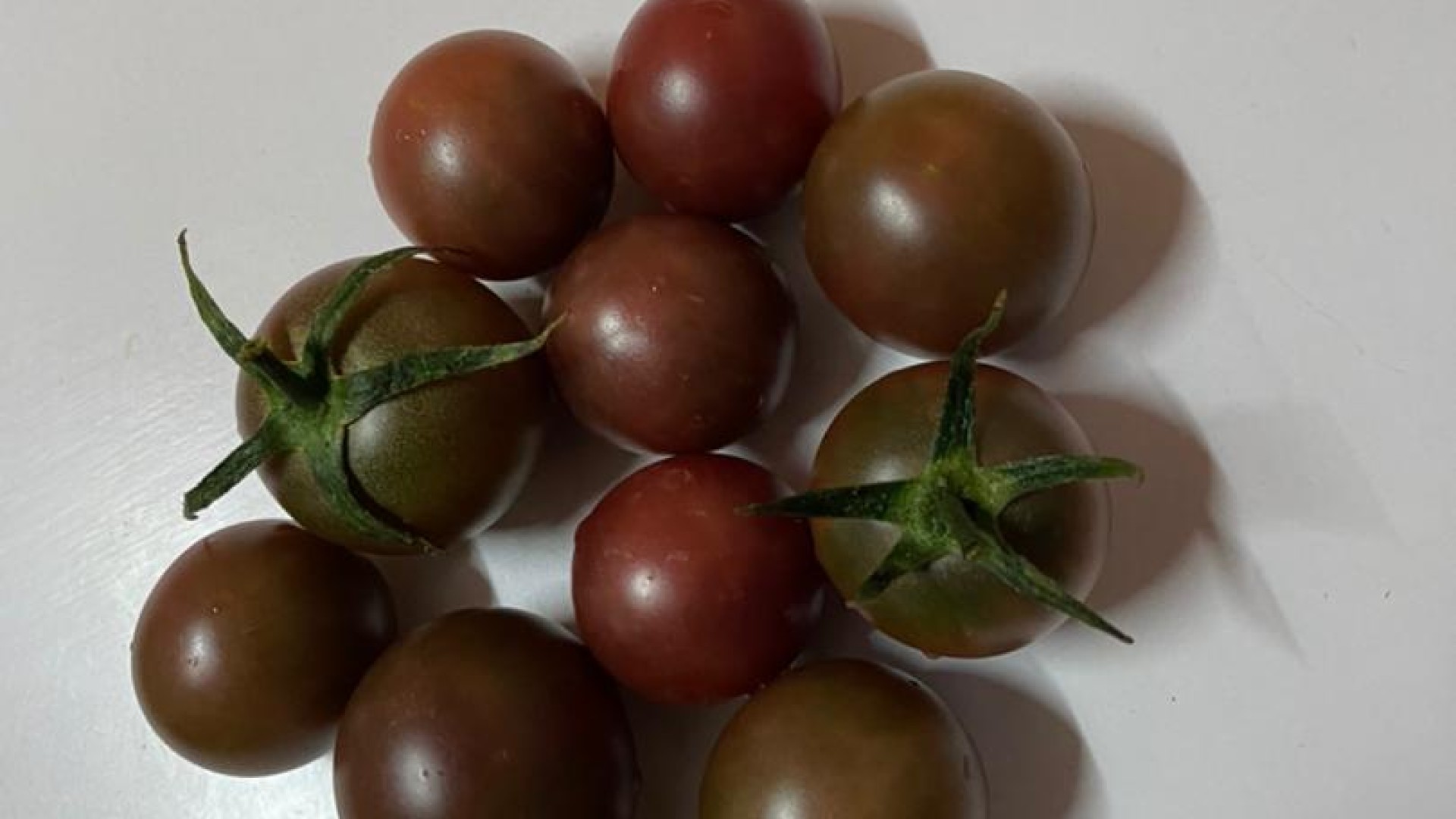 purple/black/ cherry tomato/ tomate cerise noire