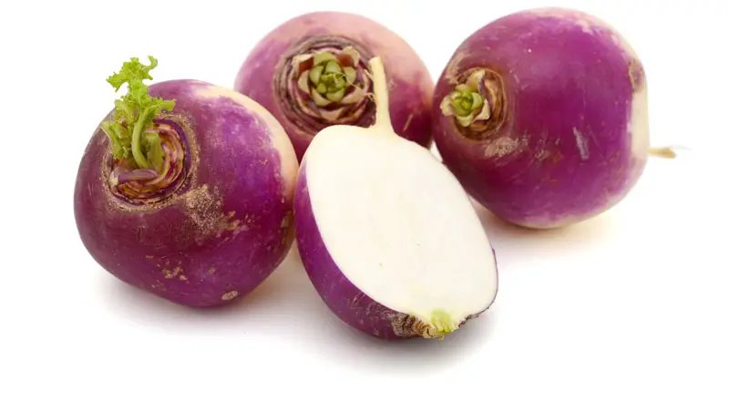 Fresh turntips image