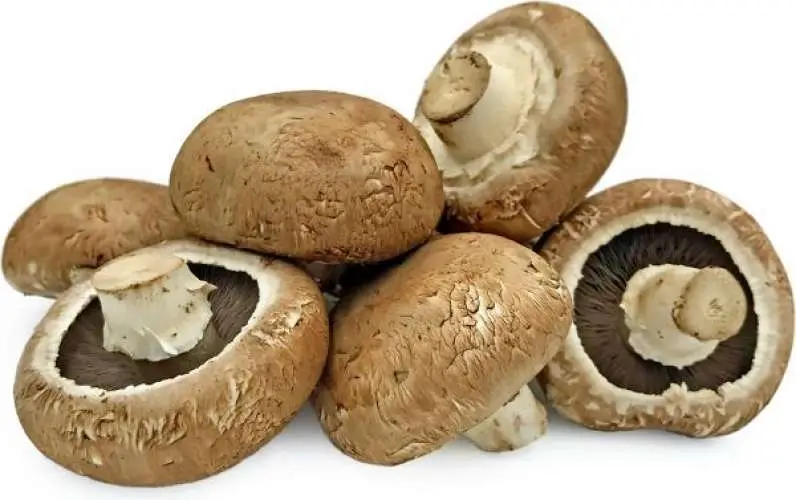 Portobello mushrooms,whole