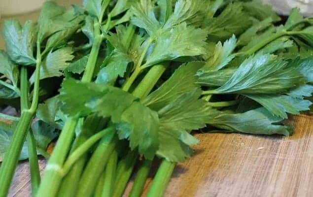 Celery image