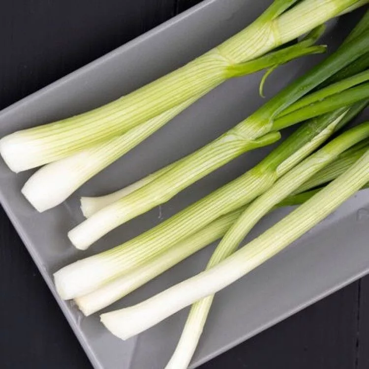 Spring onion