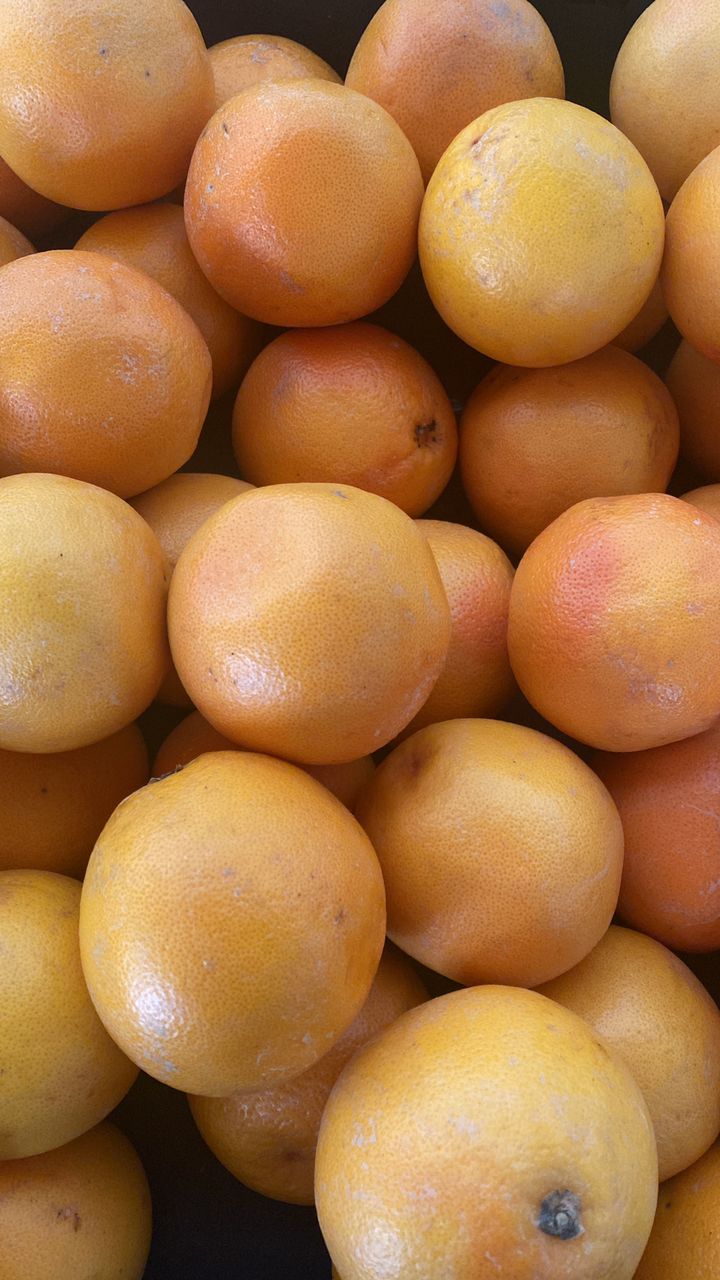 grapefruits IMPORTED image