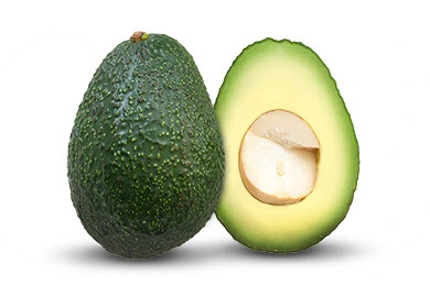 Hass avocado unripe