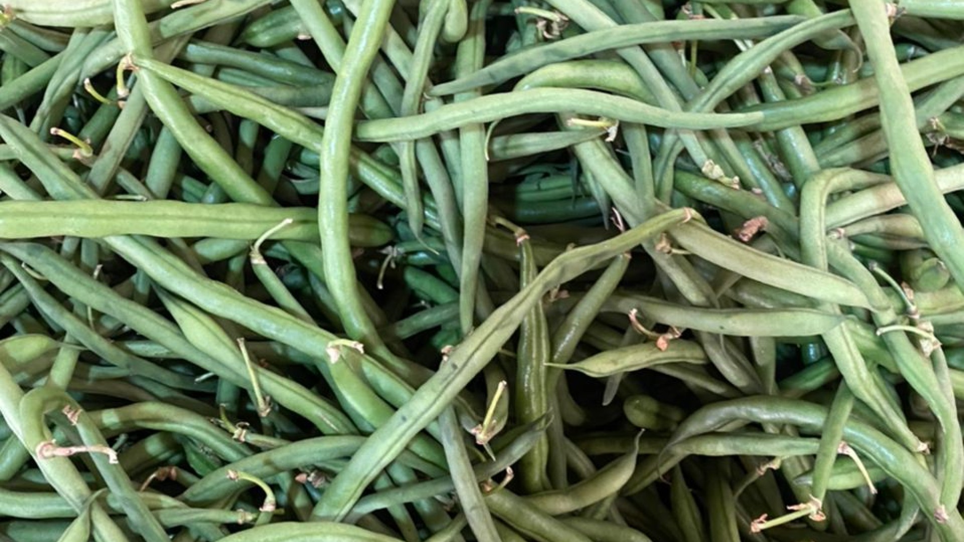 BEANS GREEN/ Haricots verts
