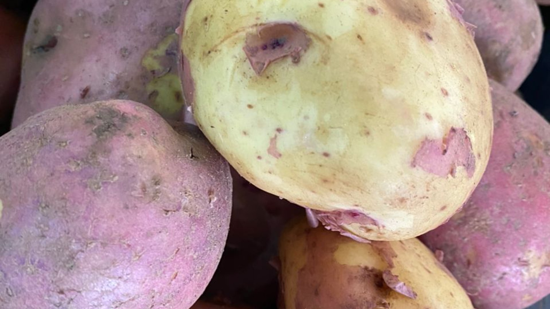 potato irish big(kinigi)