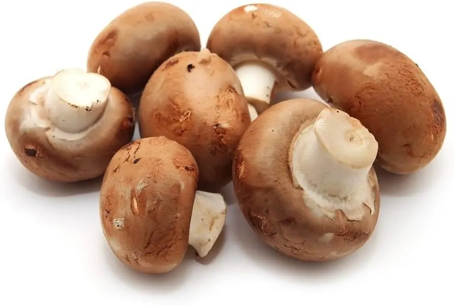 Cremini Button Mushroom