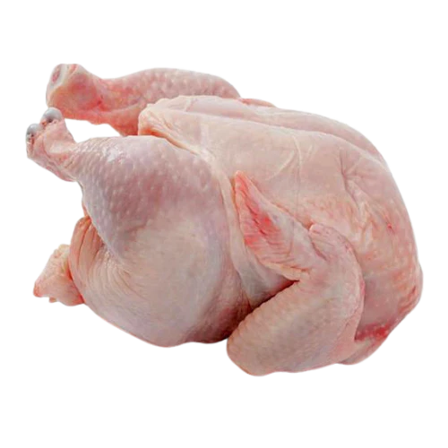 Fresh Whole chicken